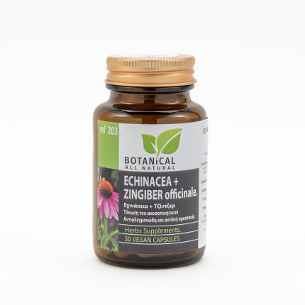 Echinacea and Zimgider