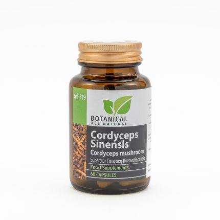 Cordyceps Sinesis - Cordyceps Mushroom